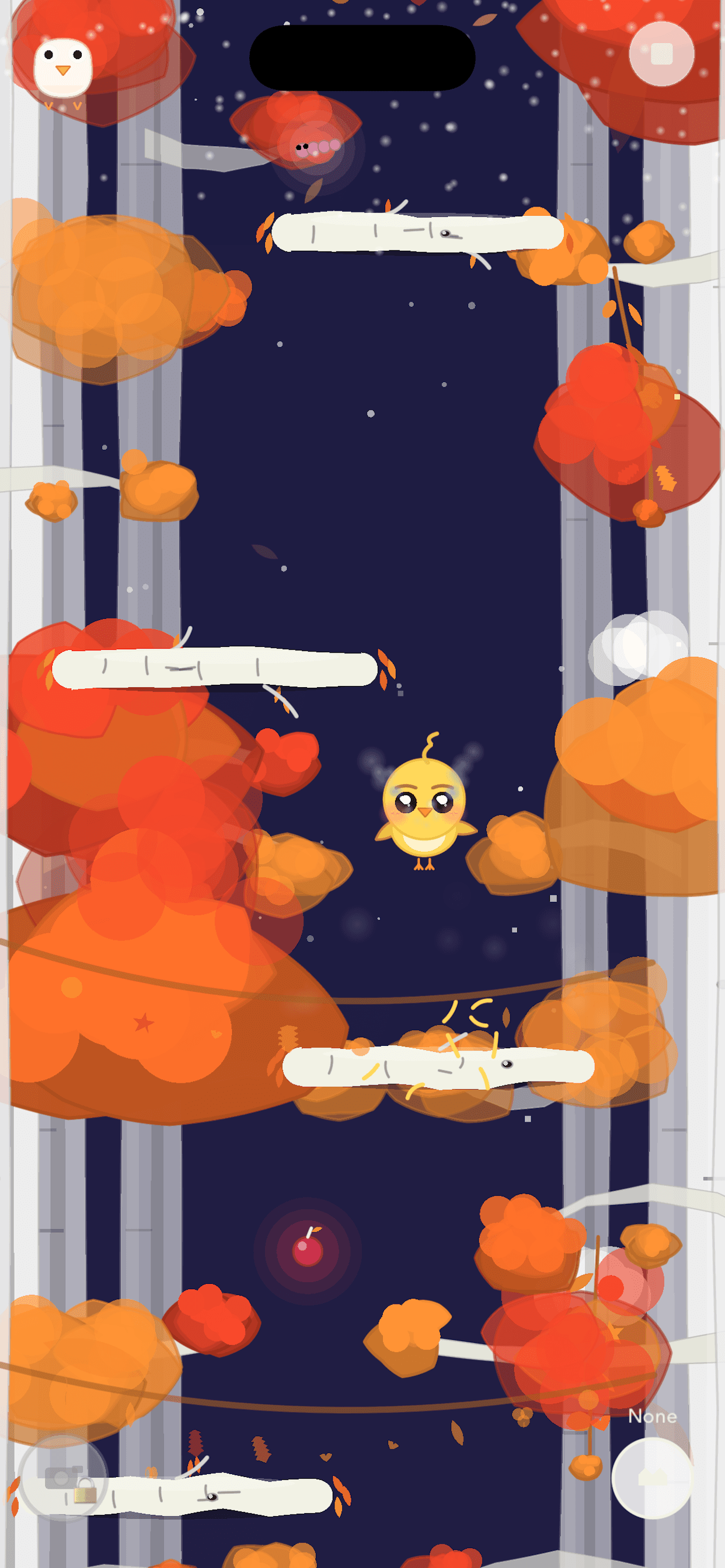 Fledgling environment