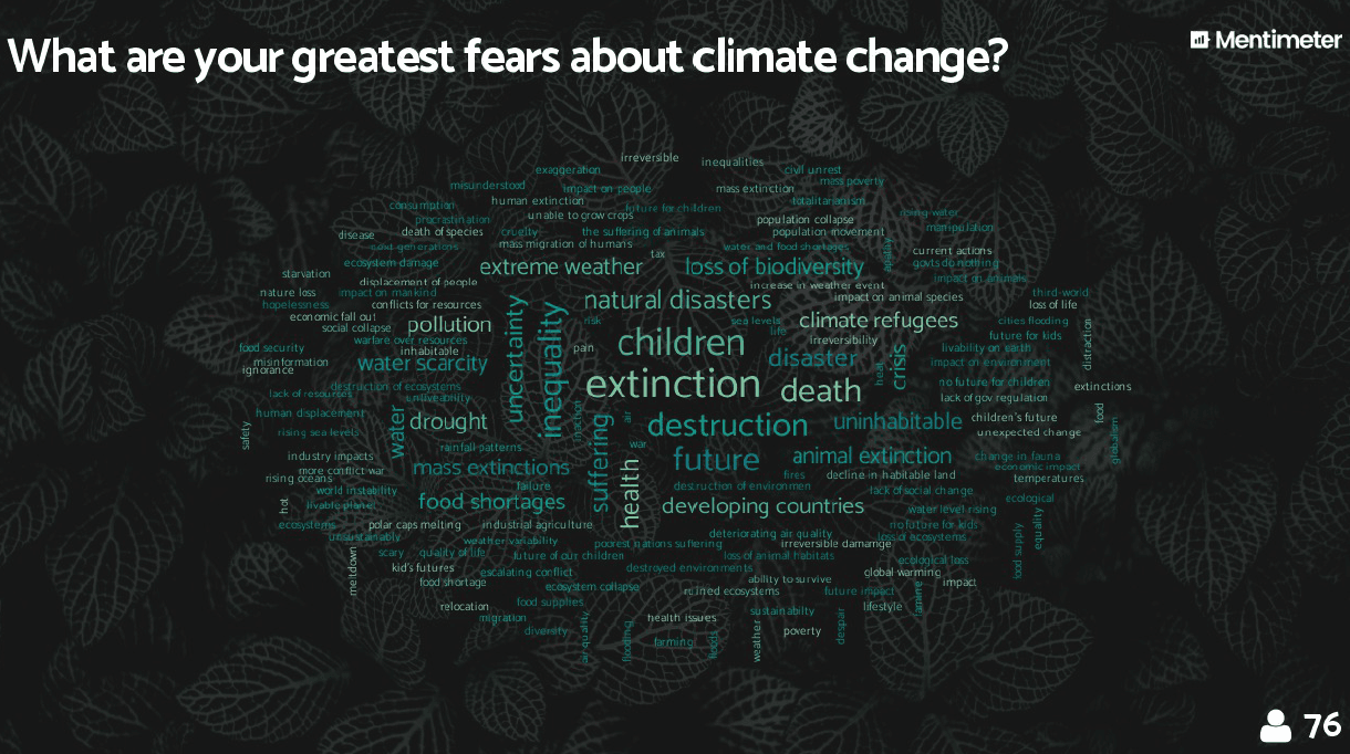 Mentimeter word cloud example